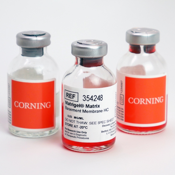 Extracellular Matrices Future Cell Technology